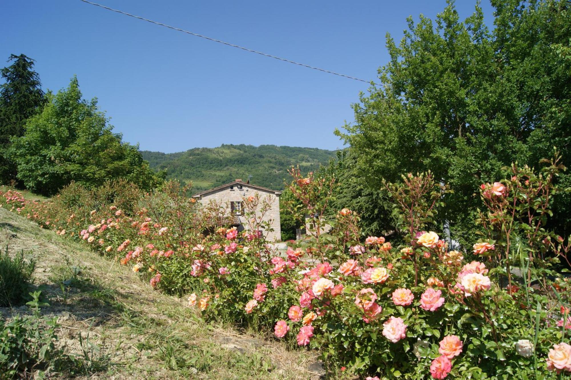 Agriturismo Corte Dei Mori بريزيغيلا المظهر الخارجي الصورة